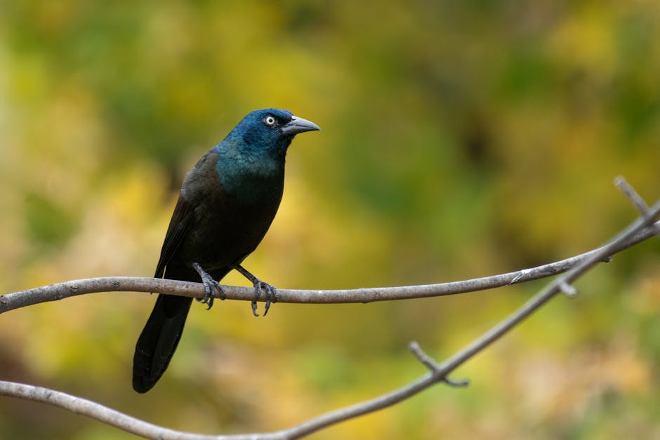 Identifying Common Food Triggers