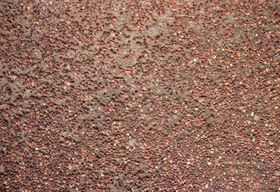 The Science Behind Gut Permeability