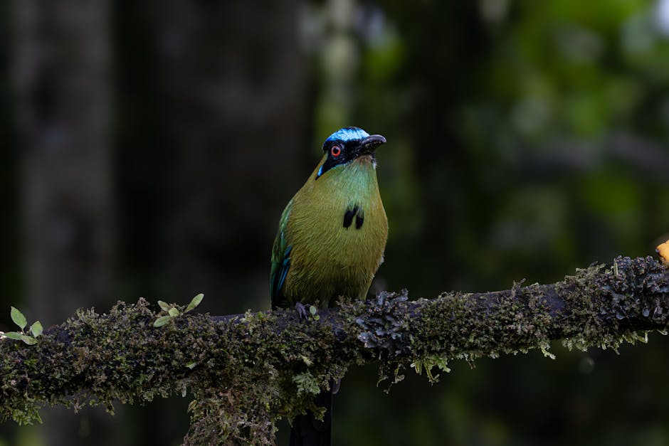 Supplementing with Digestive Enzymes: What to Know