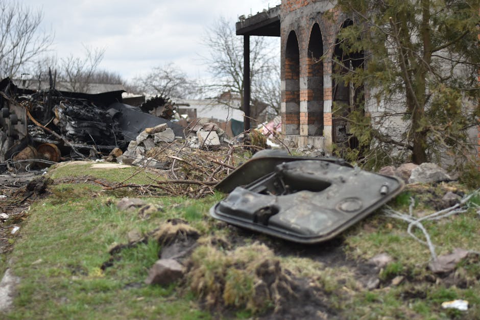 Gut Health Myths and Misconceptions