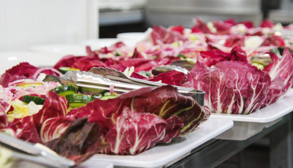 The Role of Fiber in Hydration and Digestive Efficiency