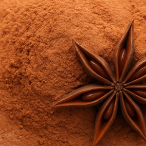 Anise Star Powder