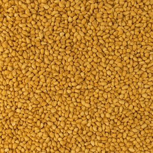 Fenugreek Seed Whole