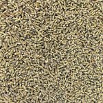 Lavender Flower Super Blue