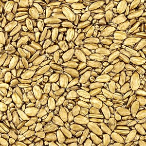 Milk Thistle Seed Whole