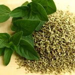 Oregano Oil