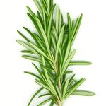 Rosemary Oil